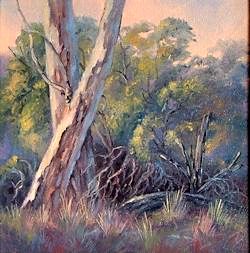 Soft Early Morning Light, Werribee, Victoria (12 x 12cm)