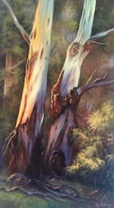 Twin Gums at King Parrot Creek. (26 x 46cm)